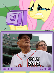 Size: 563x771 | Tagged: safe, imported from derpibooru, fluttershy, pony, exploitable meme, fluttercry, johnny pesky, meme, meta, red sox, tv meme