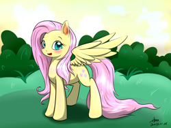 Size: 4320x3240 | Tagged: dead source, safe, artist:xcopyen002, imported from derpibooru, fluttershy, pegasus, pony, female, mare, solo