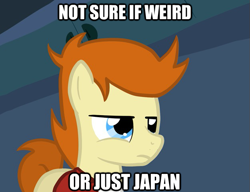 Size: 625x480 | Tagged: safe, artist:otterlore, imported from derpibooru, futurama, image macro, philip j. fry, ponified