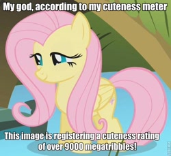 Size: 600x549 | Tagged: safe, imported from derpibooru, fluttershy, pegasus, pony, caption, cute, female, folded wings, image macro, mare, over 9000, smiling, solo, text, tribble, wings