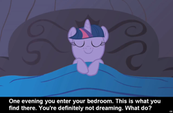 Size: 1024x672 | Tagged: safe, imported from derpibooru, twilight sparkle, pony, unicorn, bed, caption, cs captions, female, mare, meta, sleeping, smiling, solo