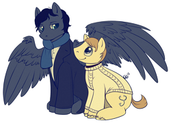 Size: 982x709 | Tagged: safe, artist:quiixotic, imported from derpibooru, bbc sherlock, john watson, ponified