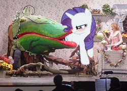 Size: 360x257 | Tagged: safe, imported from derpibooru, rarity, pony, unicorn, audrey 2, blushing, butt first, carnivorous plant, female, fetish, little shop of horrors, mare, photo, vore