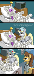 Size: 1594x3515 | Tagged: safe, artist:fiddlearts, imported from derpibooru, bandage pony, derpy hooves, doctor horse, doctor stable, hard knocks, pegasus, pony, unicorn, bandy, comic, dialogue, female, male, mare, muffin, nurse, rough tumble, stallion