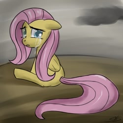 Size: 700x700 | Tagged: safe, artist:speccysy, imported from derpibooru, fluttershy, pony, crying, female, solo