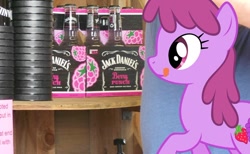 Size: 714x439 | Tagged: safe, imported from derpibooru, berry punch, berryshine, alcohol, irl, jack daniels, photo, ponies in real life