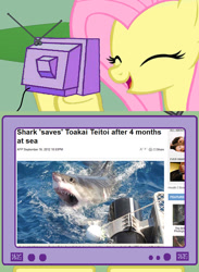Size: 563x771 | Tagged: safe, imported from derpibooru, fluttershy, pony, exploitable meme, meme, tv meme