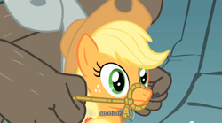 Size: 640x355 | Tagged: safe, imported from derpibooru, screencap, applejack, diamond dog, earth pony, pony, a dog and pony show, bridle, rope, tack, youtube caption