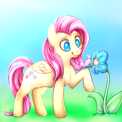 Size: 1000x1000 | Tagged: safe, artist:smoshen, imported from derpibooru, fluttershy, pony, female, solo