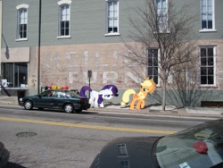 Size: 2048x1536 | Tagged: safe, artist:pizzalover53, imported from derpibooru, applejack, rarity, pony, car, irl, photo, ponies in real life, sidewalk, street, vector