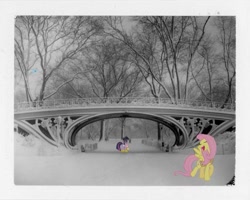 Size: 615x492 | Tagged: safe, artist:sc00taloo, imported from derpibooru, fluttershy, rainbow dash, twilight sparkle, pony, bridge, irl, photo, ponies in real life, winter