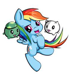 Size: 750x798 | Tagged: safe, artist:andrewc691, imported from derpibooru, rainbow dash, tank, cat, pegasus, pony, tortoise, animal orb, castle crashers, chibi, female, simple background, transparent background