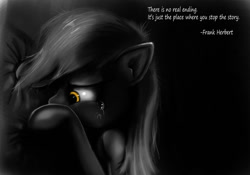 Size: 1024x717 | Tagged: dead source, safe, artist:hereticofdune, imported from derpibooru, derpy hooves, pegasus, pony, crying, derpygate, female, frank herbert, mare, monochrome, neo noir, partial color, quote, sad, solo, tragic