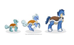 Size: 1280x789 | Tagged: safe, artist:almairis, imported from derpibooru, blastoise, squirtle, wartortle, coat markings, crossover, evolution chart, family, female, foal, male, mare, pokémon, ponymon, shell, simple background, socks (coat marking), socks (coat markings), stallion, transparent background, trio