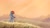 Size: 1920x1080 | Tagged: dead source, safe, artist:ruhje, imported from derpibooru, rainbow dash, pegasus, pony, beautiful, crepuscular rays, female, field, mare, scenery, solo, wallpaper