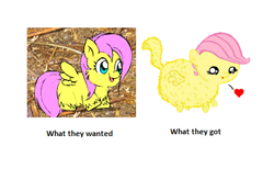 Size: 425x279 | Tagged: safe, artist:marcusmaximus, imported from derpibooru, fluttershy, fluffy pony, comparison, fluffyshy