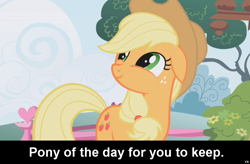 Size: 1024x672 | Tagged: safe, imported from derpibooru, applejack, earth pony, pony, caption, cs captions, female, floppy ears, mare, solo
