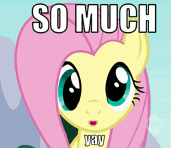 Size: 591x510 | Tagged: safe, edit, edited screencap, imported from derpibooru, screencap, fluttershy, animated, derp, female, image macro, yay