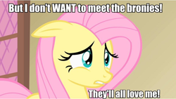 Size: 820x463 | Tagged: safe, imported from derpibooru, fluttershy, caption, image macro, meta