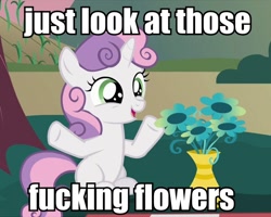 Size: 600x480 | Tagged: safe, imported from derpibooru, sweetie belle, flower, image macro, vulgar