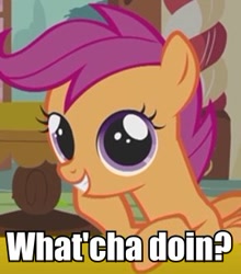 Size: 291x331 | Tagged: safe, imported from derpibooru, scootaloo, image macro, phineas and ferb