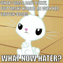 Size: 429x428 | Tagged: safe, edit, edited screencap, imported from derpibooru, screencap, angel bunny, animated, come at me bro, crotchboobs, image macro, implied crotchboobs