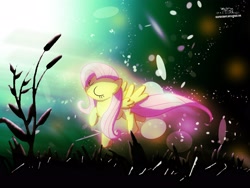 Size: 2844x2133 | Tagged: safe, artist:graphicbrony, imported from derpibooru, fluttershy, wallpaper