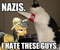 Size: 486x401 | Tagged: safe, imported from derpibooru, daring do, cat, pegasus, pony, anti nazi, anti-nazism, armband, caption, clothes, female, heil, image macro, indiana jones, mare, nazi, ponies in real life, quote, salute, sieg heil, swastika