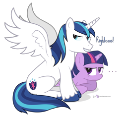 Size: 1380x1300 | Tagged: safe, artist:dm29, imported from derpibooru, shining armor, twilight sparkle, alicorn, pony, alicornified, brother and sister, colored hooves, duo, female, male, male alicorn, prince shining armor, race swap, righteous, shiningcorn, simple background, spread wings, stallion, transparent background, unamused, wings