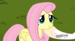 Size: 852x469 | Tagged: safe, imported from derpibooru, screencap, fluttershy, princess celestia, alicorn, pegasus, pony, keep calm and flutter on, cute, female, hooves, hub logo, mare, shipping fuel, smiling, solo focus