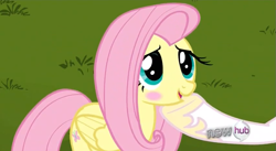 Size: 851x467 | Tagged: safe, imported from derpibooru, screencap, fluttershy, princess celestia, keep calm and flutter on, blushing, hoof shoes, hooves, hub logo, smiling, solo focus