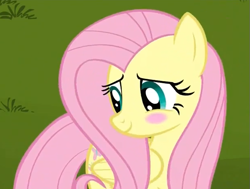 Size: 615x466 | Tagged: safe, imported from derpibooru, screencap, fluttershy, keep calm and flutter on, blushing, cute, shyabetes