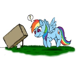 Size: 800x800 | Tagged: dead source, safe, artist:ichibangravity, imported from derpibooru, rainbow dash, pony, cardboard box, eyes on the prize, female, flying, food, it's a trap, solo, stick, string, sugar (food), sugarcube, trap (device)