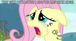 Size: 850x467 | Tagged: safe, imported from derpibooru, fluttershy, crying, image macro