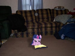 Size: 2832x2128 | Tagged: safe, imported from derpibooru, twilight sparkle, book, couch, ponies in real life, reading, solo