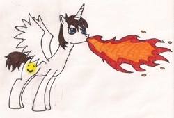 Size: 1024x695 | Tagged: safe, artist:midnacookies1425, imported from derpibooru, oc, oc only, alicorn, pony, alicorn oc, fire