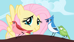 Size: 1024x576 | Tagged: safe, imported from derpibooru, screencap, fluttershy, scrunchy face