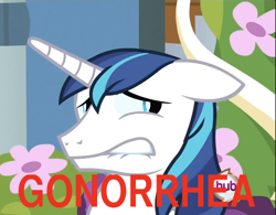 Size: 602x469 | Tagged: safe, imported from derpibooru, shining armor, gmod idiot box, gonorrhea