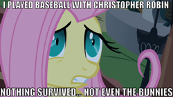 Size: 860x484 | Tagged: safe, edit, edited screencap, imported from derpibooru, screencap, fluttershy, luna eclipsed, christopher robin, image macro, nightmare night, winnie the pooh home run derby