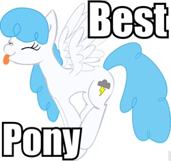 Size: 890x835 | Tagged: safe, imported from derpibooru, lightning bolt, white lightning, pegasus, pony, best pony, female, image macro, mare, meta, solo, text