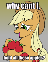 Size: 618x800 | Tagged: artist needed, safe, artist:mortuaryjoe, imported from derpibooru, applejack, earth pony, pony, apple, caption, female, image macro, looking down, meme, parody, solo, text, that pony sure does love apples, why can't i hold all these x