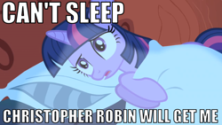 Size: 1010x568 | Tagged: safe, edit, edited screencap, imported from derpibooru, screencap, twilight sparkle, pony, friendship is magic, can't sleep, christopher robin, female, image macro, solo, wat, winnie the pooh home run derby