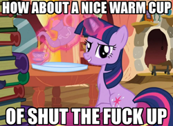 Size: 500x364 | Tagged: safe, imported from derpibooru, twilight sparkle, spike at your service, image macro, stfu, stfu cup, vulgar