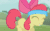 Size: 704x432 | Tagged: safe, imported from derpibooru, screencap, apple bloom, call of the cutie, animated, female, headband, hoofy-kicks, rearing, sweatband
