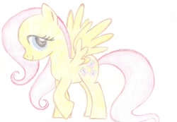 Size: 3425x2375 | Tagged: safe, artist:ed-skar, imported from derpibooru, fluttershy, colored, sketch