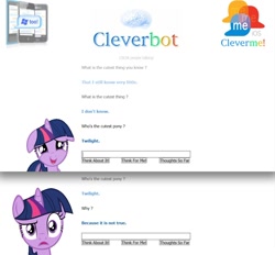 Size: 1008x935 | Tagged: safe, imported from derpibooru, twilight sparkle, cleverbot, comic, confused, cute, cutest pony, female, lies, meme, reaction, shocked, surprised, text, wat
