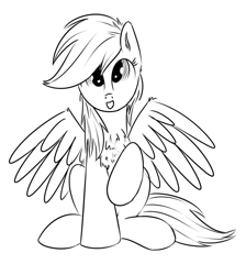 Size: 500x559 | Tagged: safe, artist:xioade, imported from derpibooru, rainbow dash, chest fluff, female, monochrome, solo