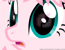 Size: 650x500 | Tagged: safe, artist:mixermike622, imported from derpibooru, pinkie pie, oc, oc:fluffle puff, close-up, cotton candy, eyes, food, reflection