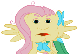 Size: 1515x1046 | Tagged: safe, artist:mrcountermax, edit, imported from derpibooru, fluttershy, ambiguous gender, pumkin, solo, wat