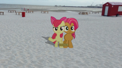 Size: 1024x576 | Tagged: safe, artist:dreamland200, imported from derpibooru, apple bloom, babs seed, 7-legged race, beach, irl, photo, pier, ponies in real life, rope, tables, vector